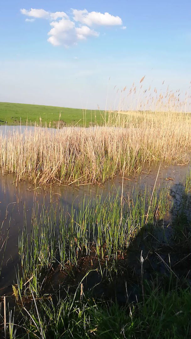 Бара "Петра"