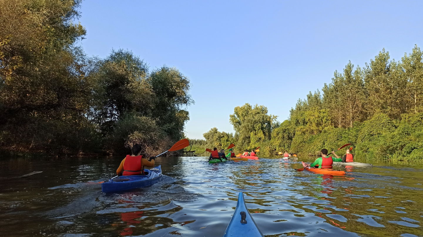 Kajak avanture Belgrade kayak trip kayak rent