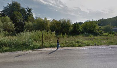 Dušana Petrovića Šaneta