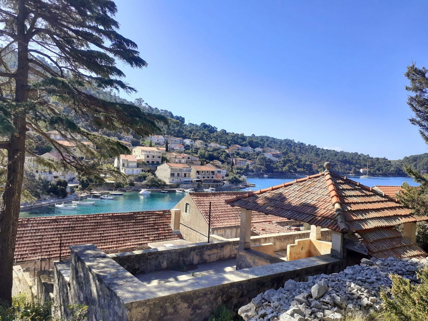 Apartment Royal Fortune