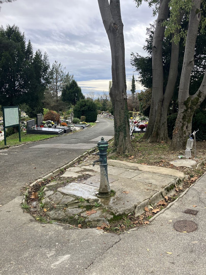 Francek - pumpa, pitka voda