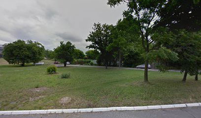 JKP "Zelenilo Beograd", Novi Beograd 1