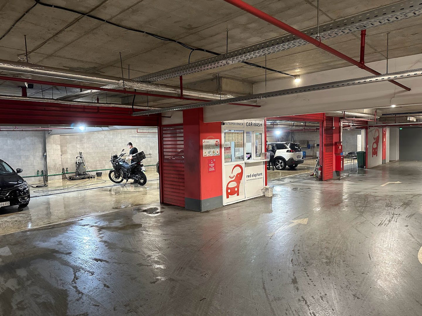 Red Elephant auto perionica SC Beo