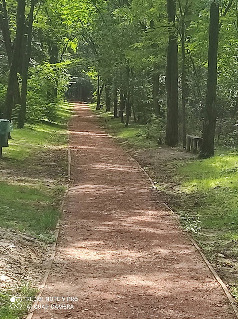 Липовичка шума