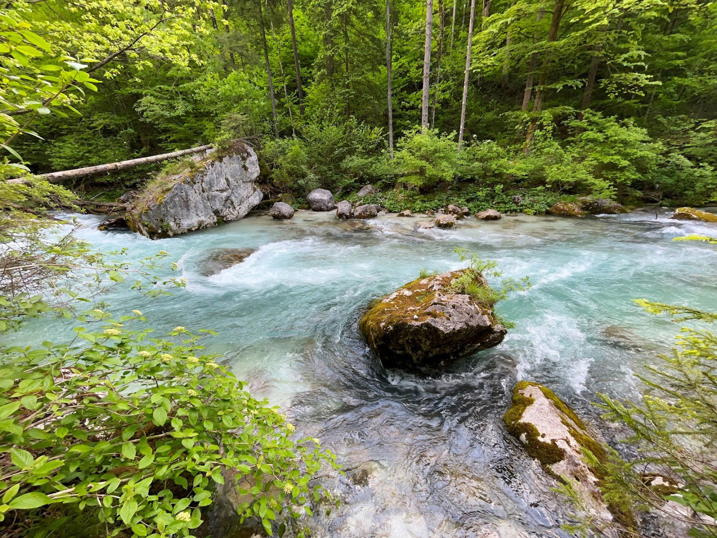 Kamniška Bistrica Viewpoint