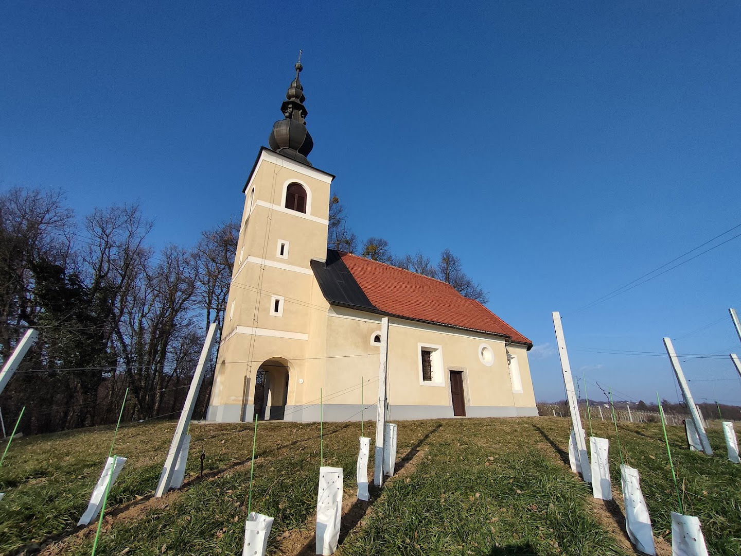 Cerkev sv. Štefana