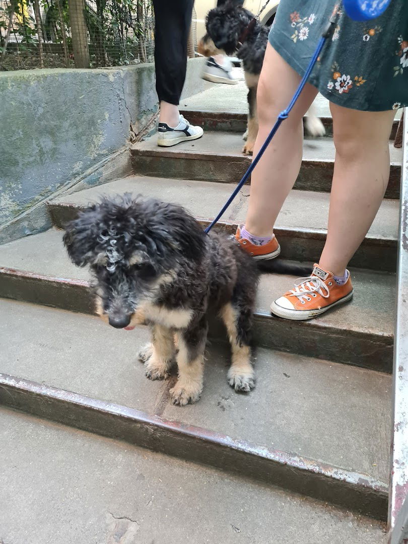 VETEVET VETERINARSKA AMBULANTA