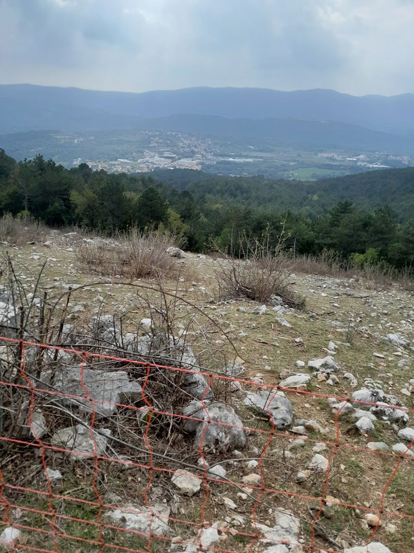 Društvo za zaščito živali Postojna