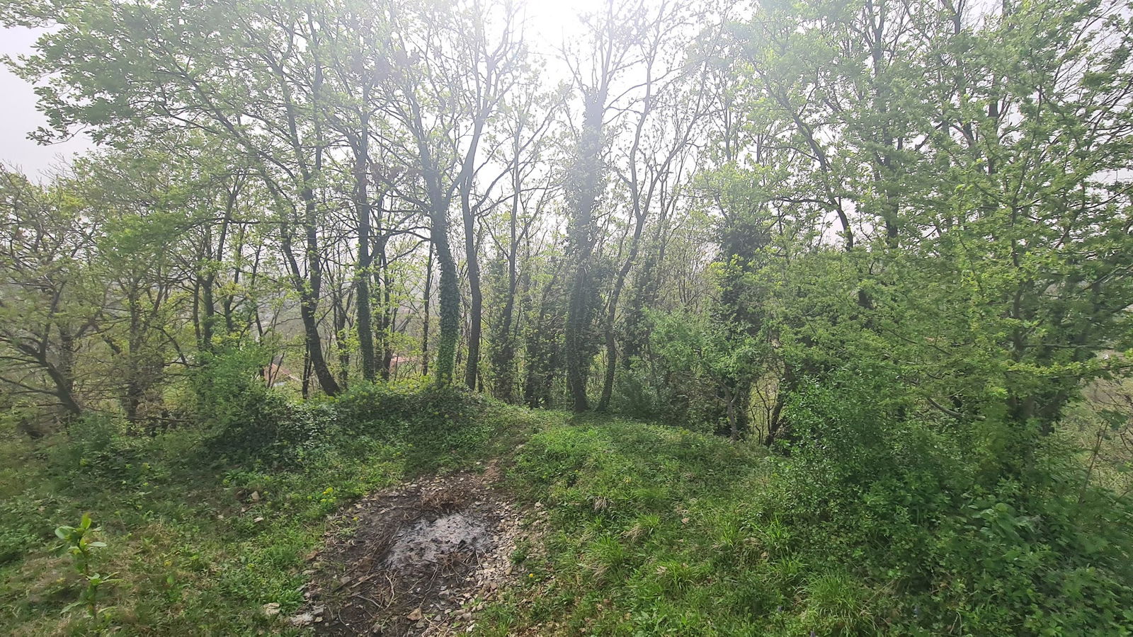 Chapel of St. Anthony of Padua (relics)