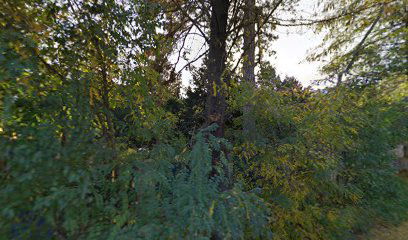 Stomatološka ordinacija Mažestik Dent