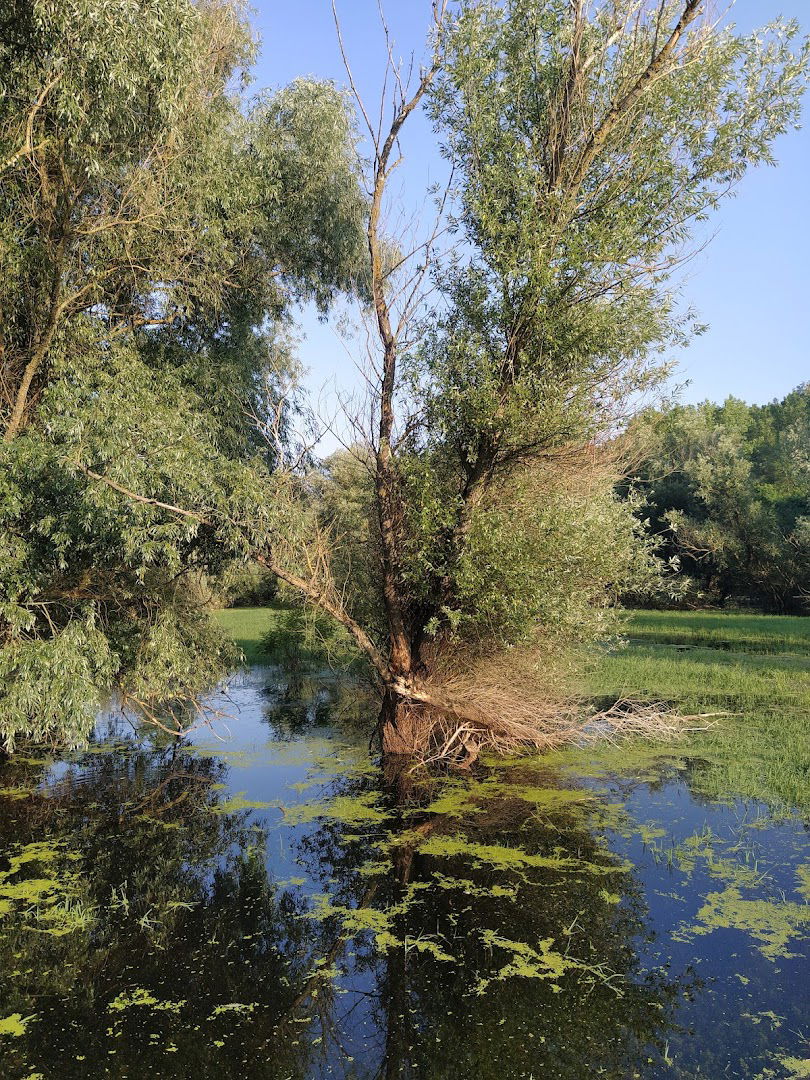 The Post office of Serbia