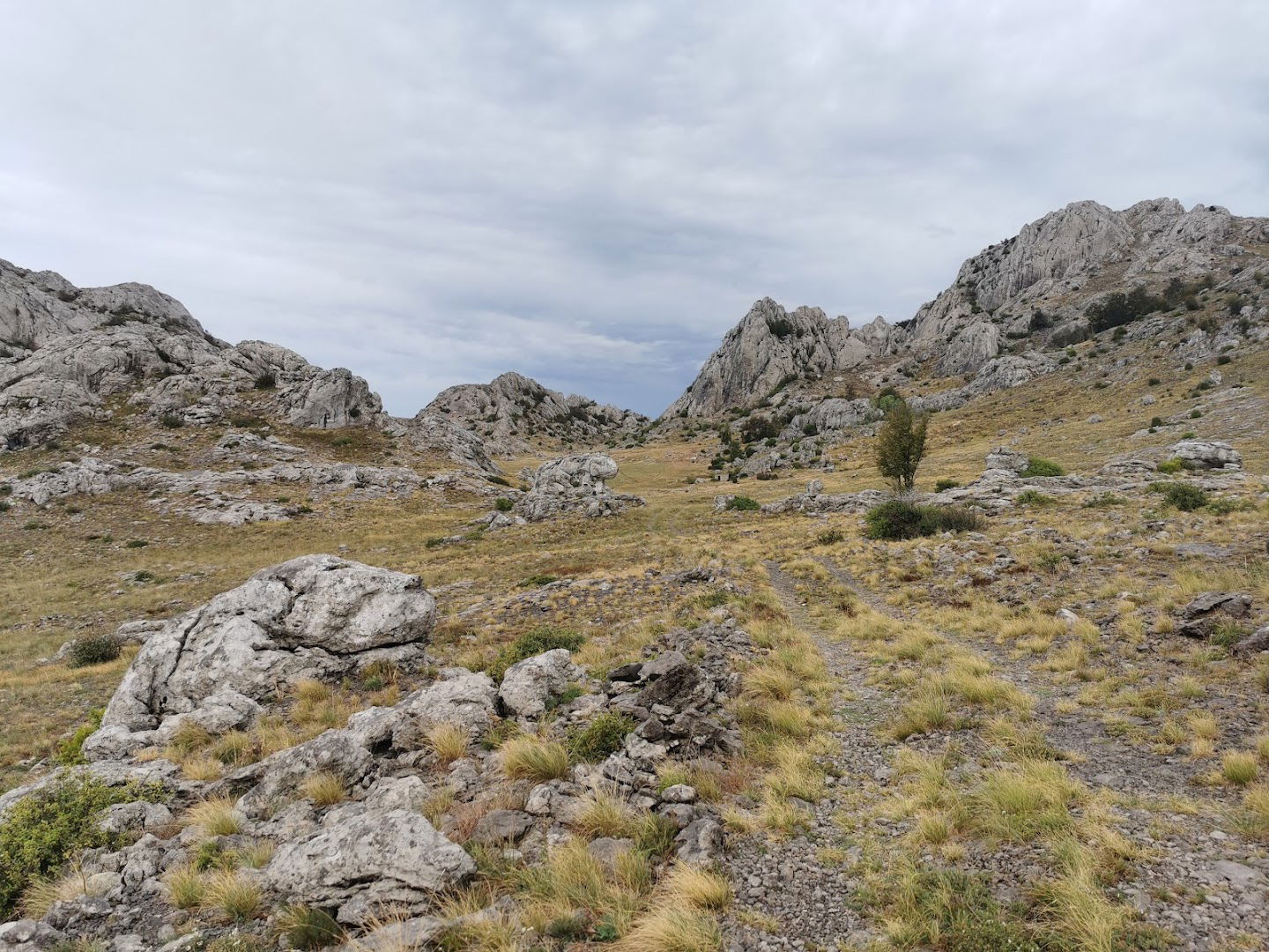 Zelena staza živućih stjenovitih formacija