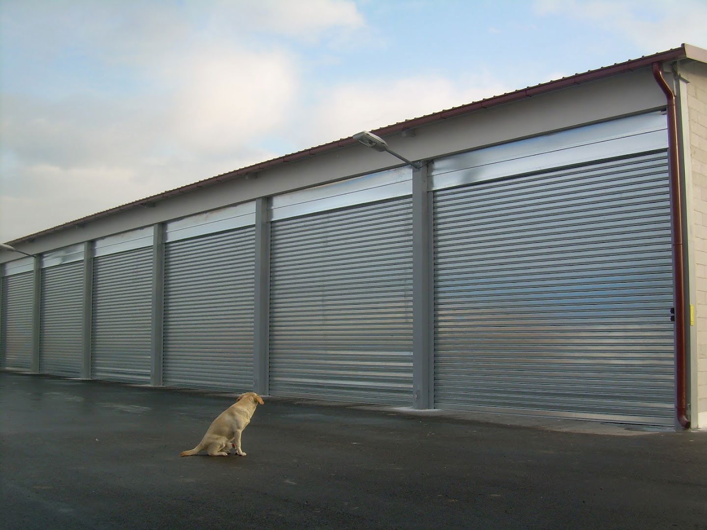 Rolo Vrata - Aleksandar M