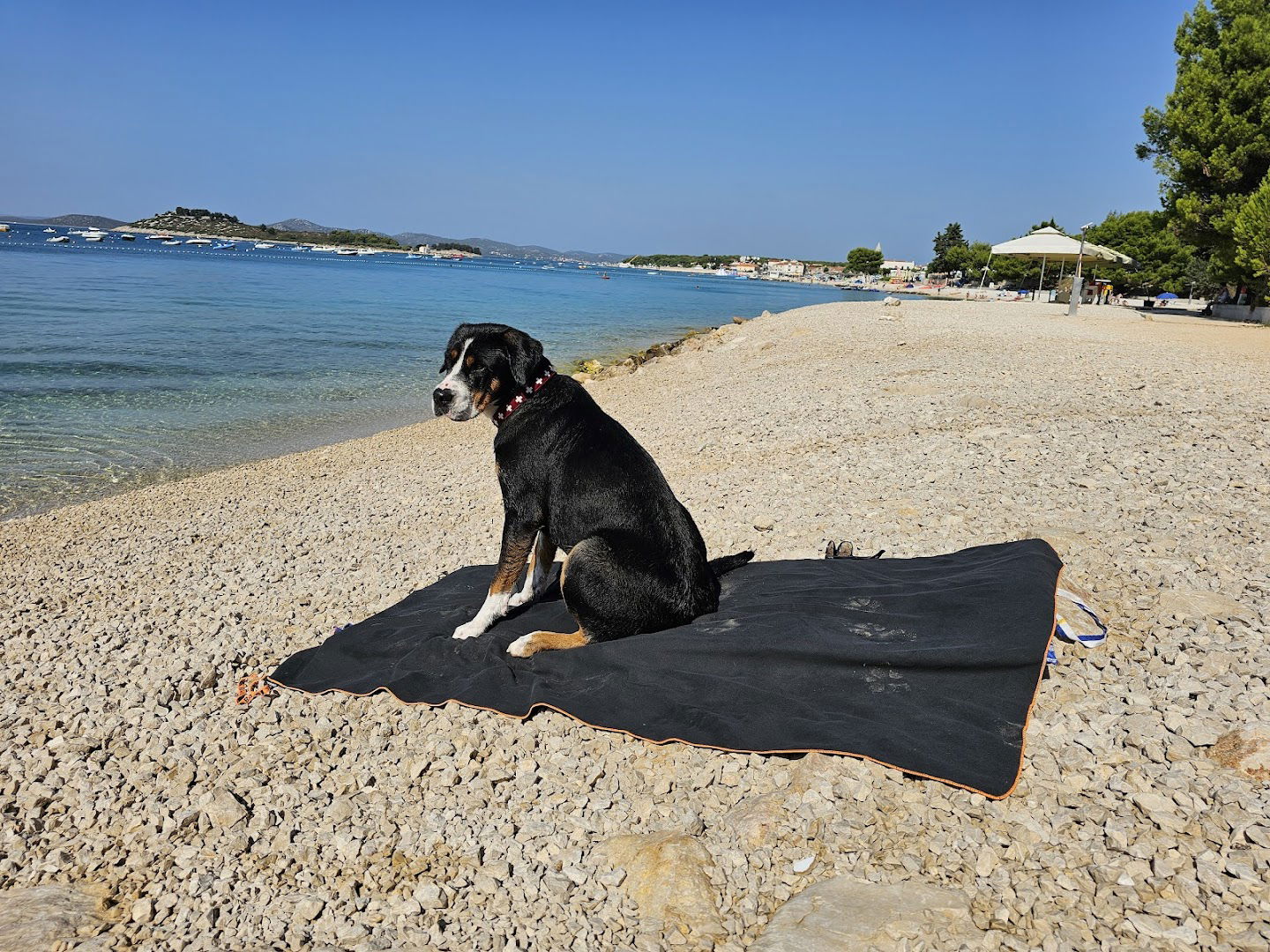 Dog beach Pakoštane
