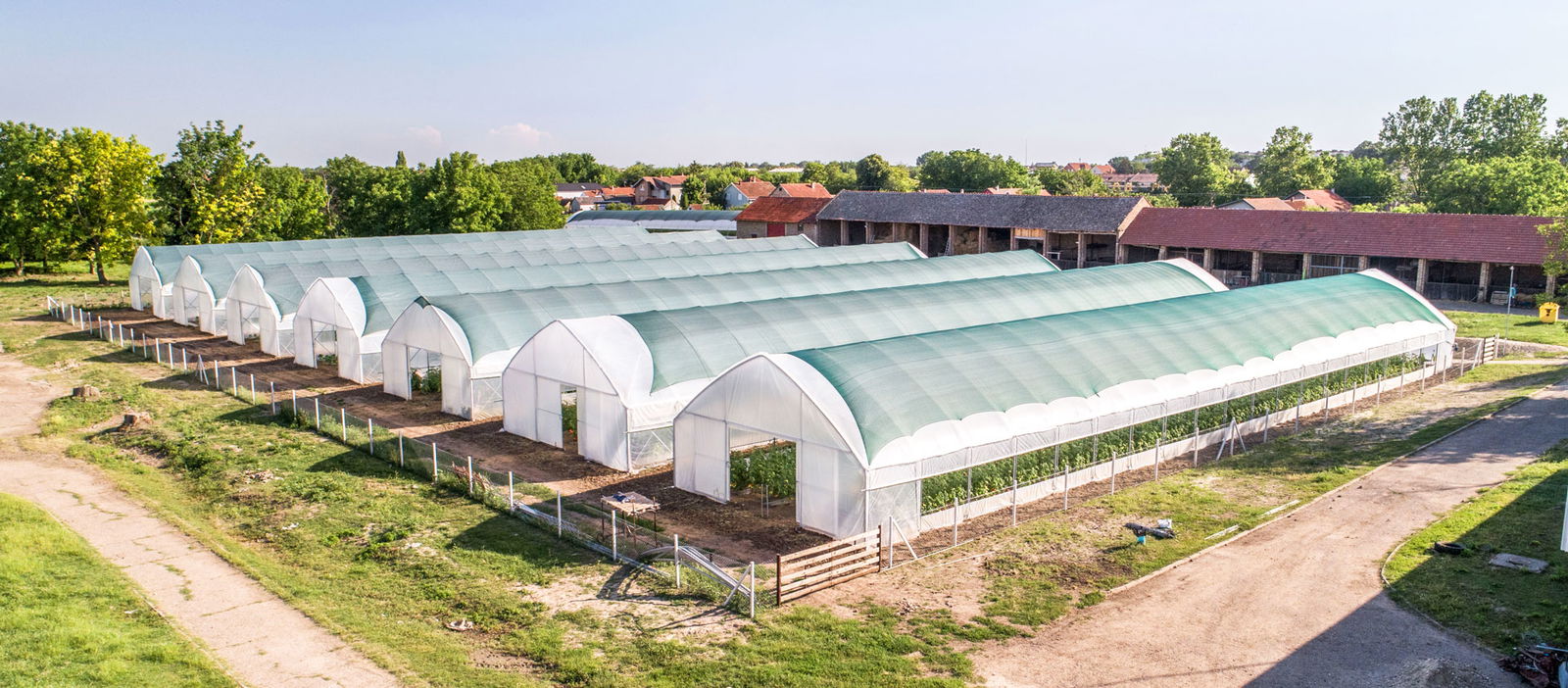 Salat Centar-Plastenici