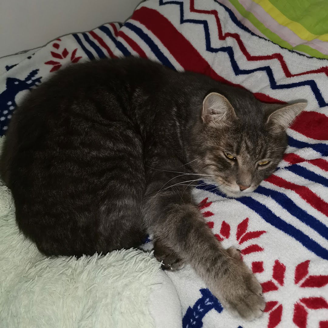 Veterinarska ambulanta Solin