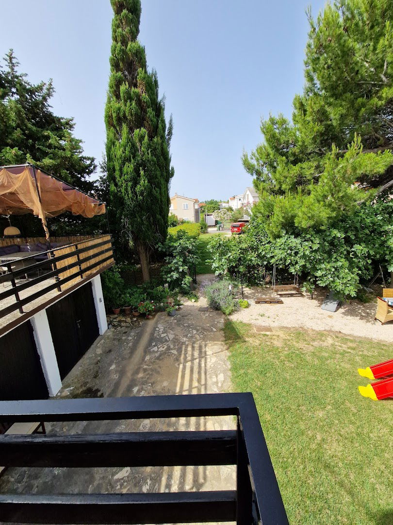 U hladu smokve - Apartmani Nin - Ninske Vodice