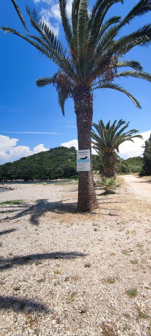 Plaža za pse