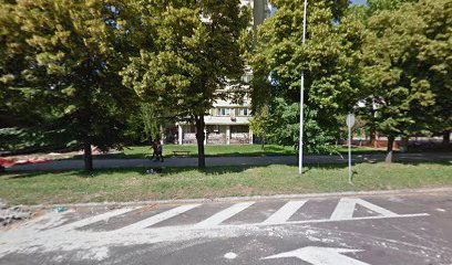 Grafit zločinca Ratka Mladića