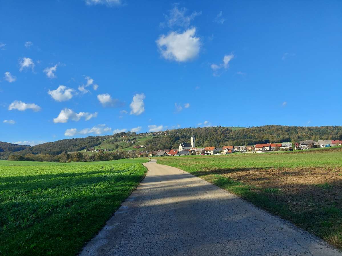 Sraka International glasbena produkcija in založništvo Novo mesto d.o.o., PE Sračje gnezdo