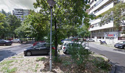 Mozzart Basketball Court