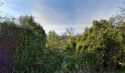 Zrinska Catholic Cemetery