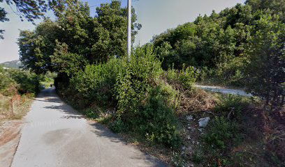 Apartments Peninsula