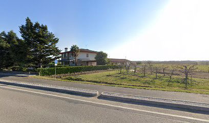 Terre di Palazzatto di Pozzar Samuele