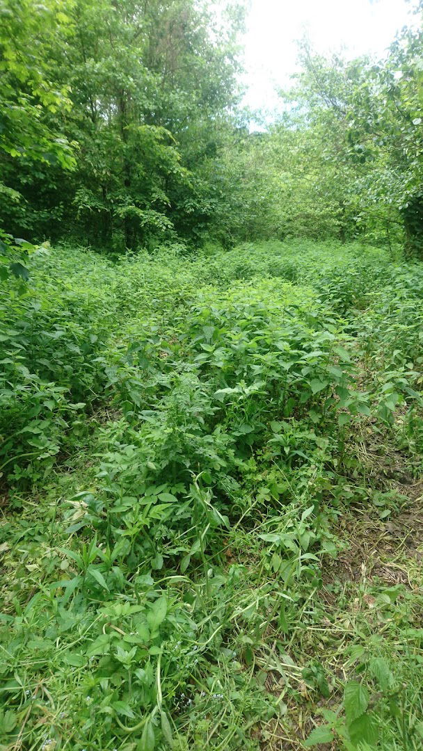 Chapel of St. Martin