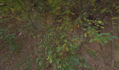 Дебело брдо