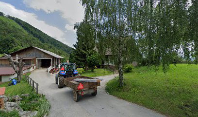 MATEJKA KARNIČNIK - NOSILKA DOPOLNILNE DEJAVNOSTI NA KMETIJI, TURISTIČNA KMETIJA KARNIČNIK