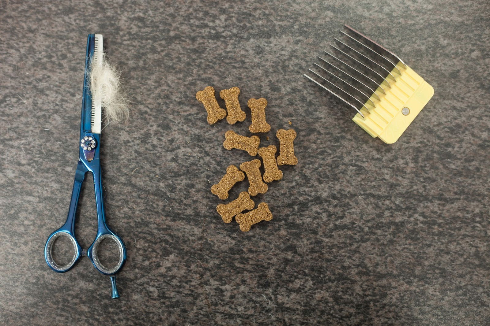 Studio Boo uređivanje pasa