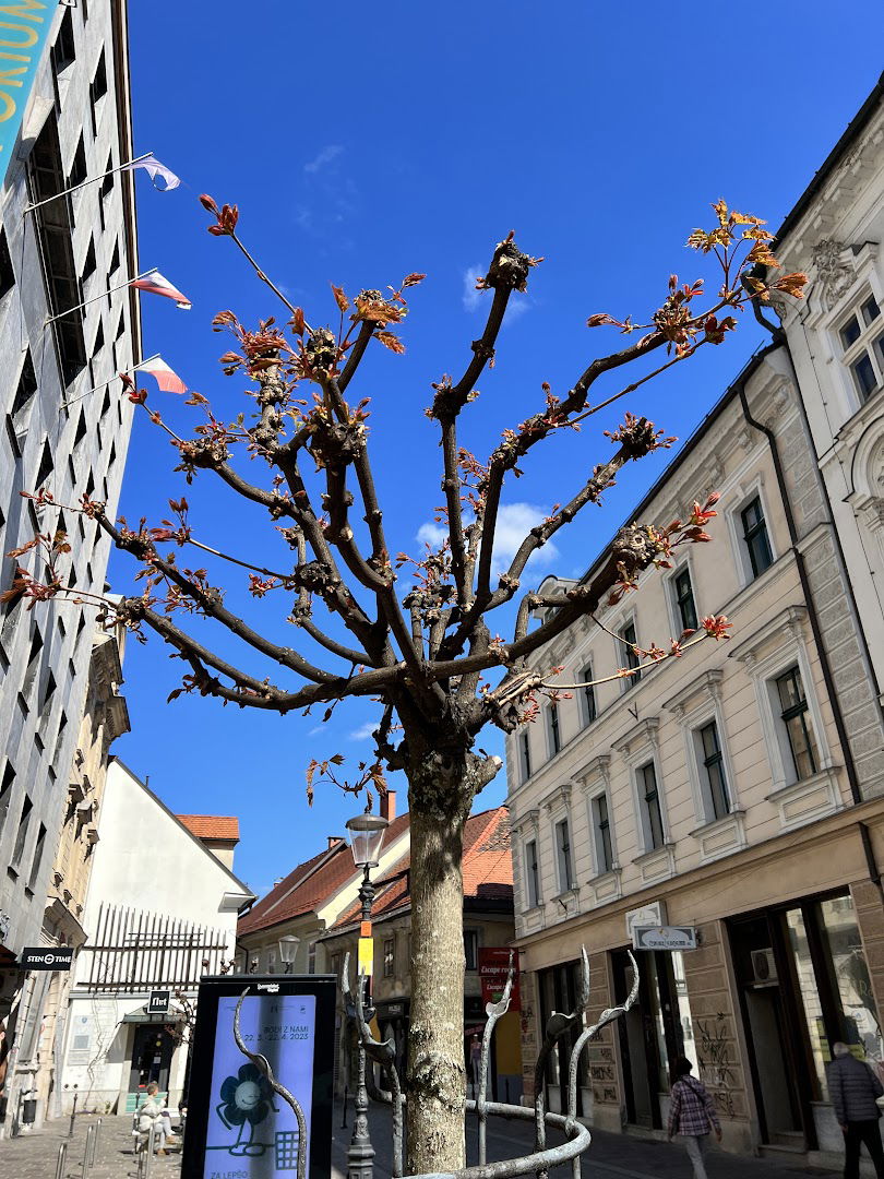 Česalnice Ljubljana d.d. Ljubljana