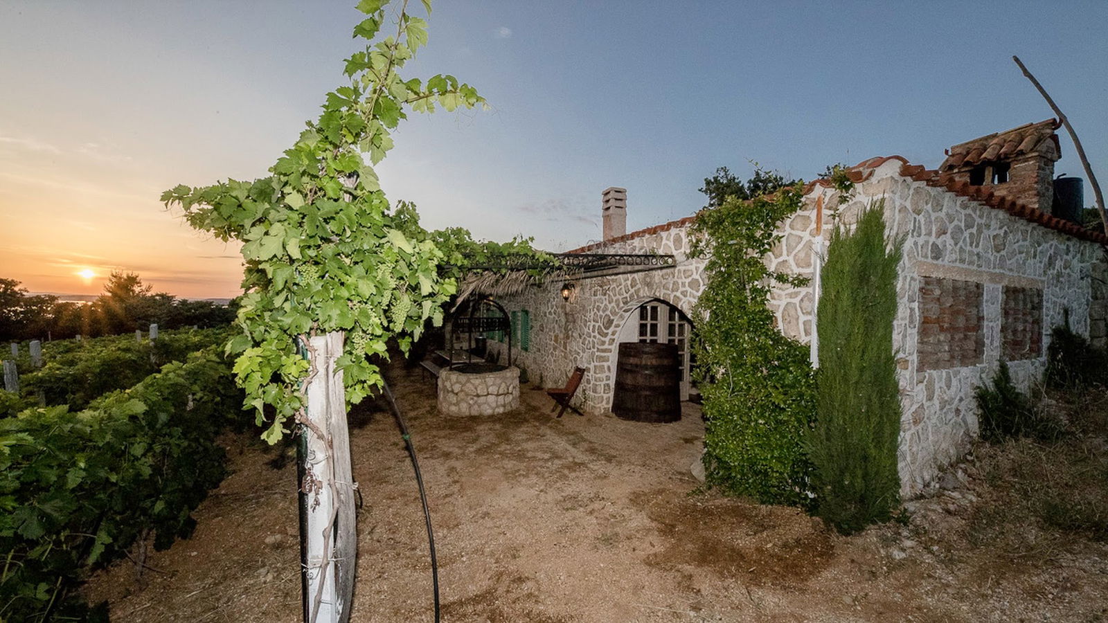 Ecological Vineyard House