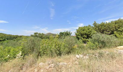 Mobilna kucica Olive Nest