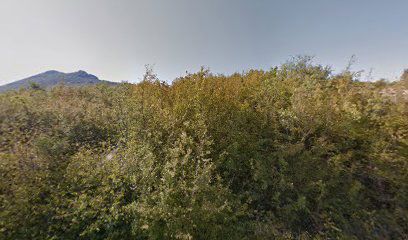 Trilj, Cačvina cemetery