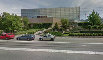 Satelit Premium Group