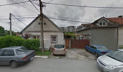 Autoprevoznik Goran Ristic Preduzetnik Beograd (Zemun)