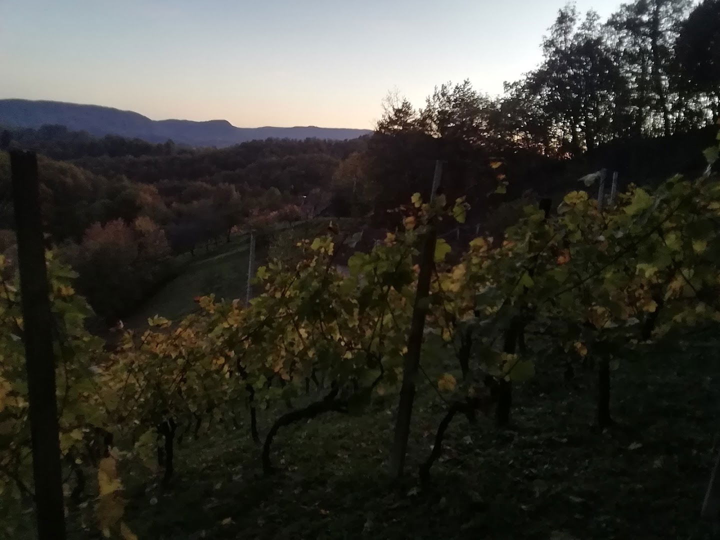 Cvetko seoski turizam