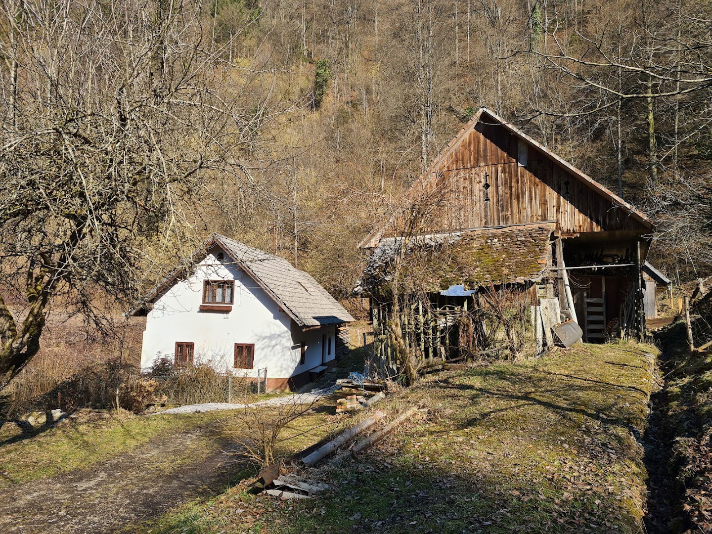 Samotni (Debevčev) mlin