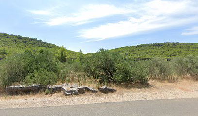 Church of St. Stephen