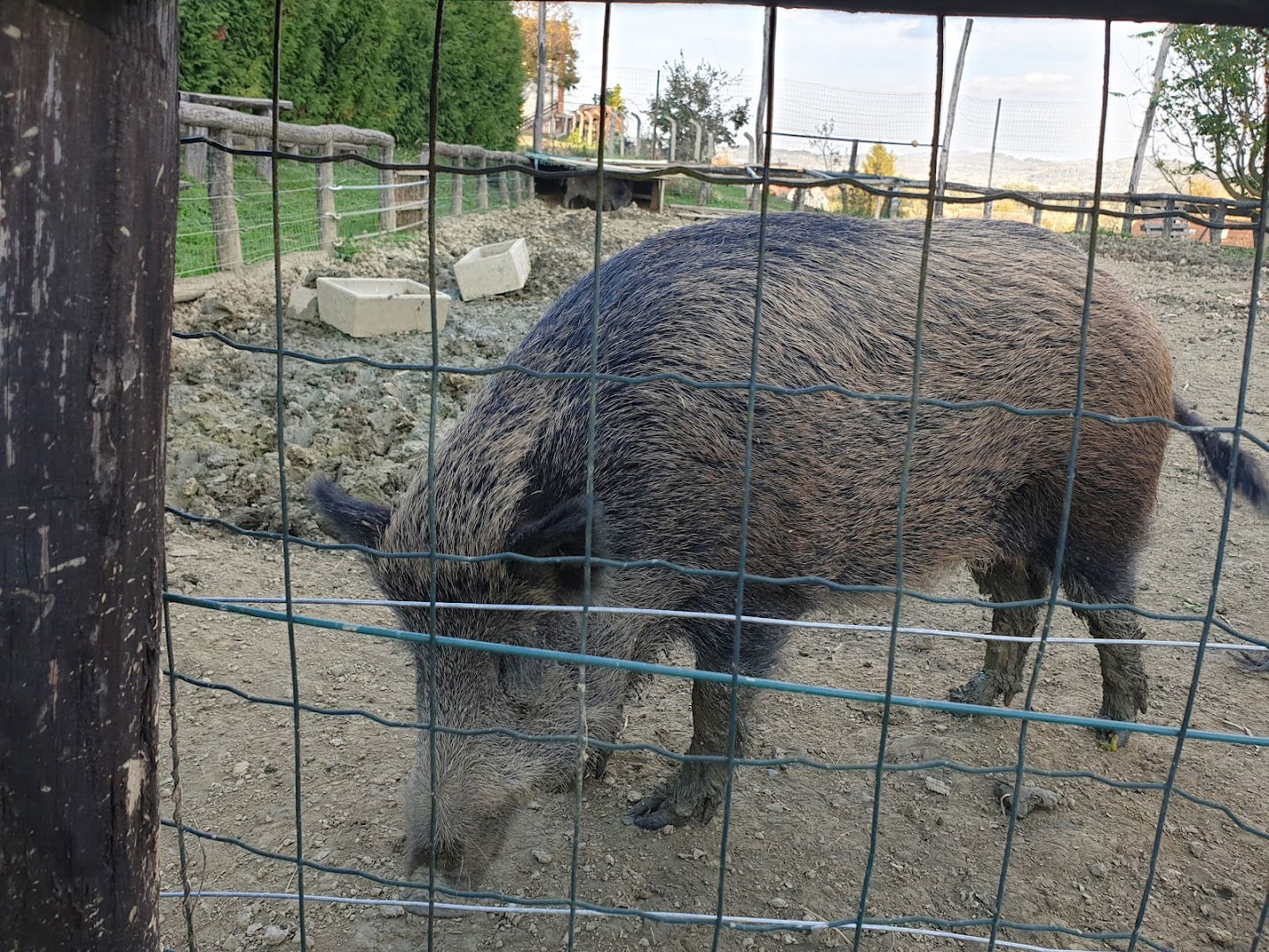 Branko Balon - Nosilec dopolnilne dejavnosti na kmetiji - Turistična kmetija Balon - Bela Gorca