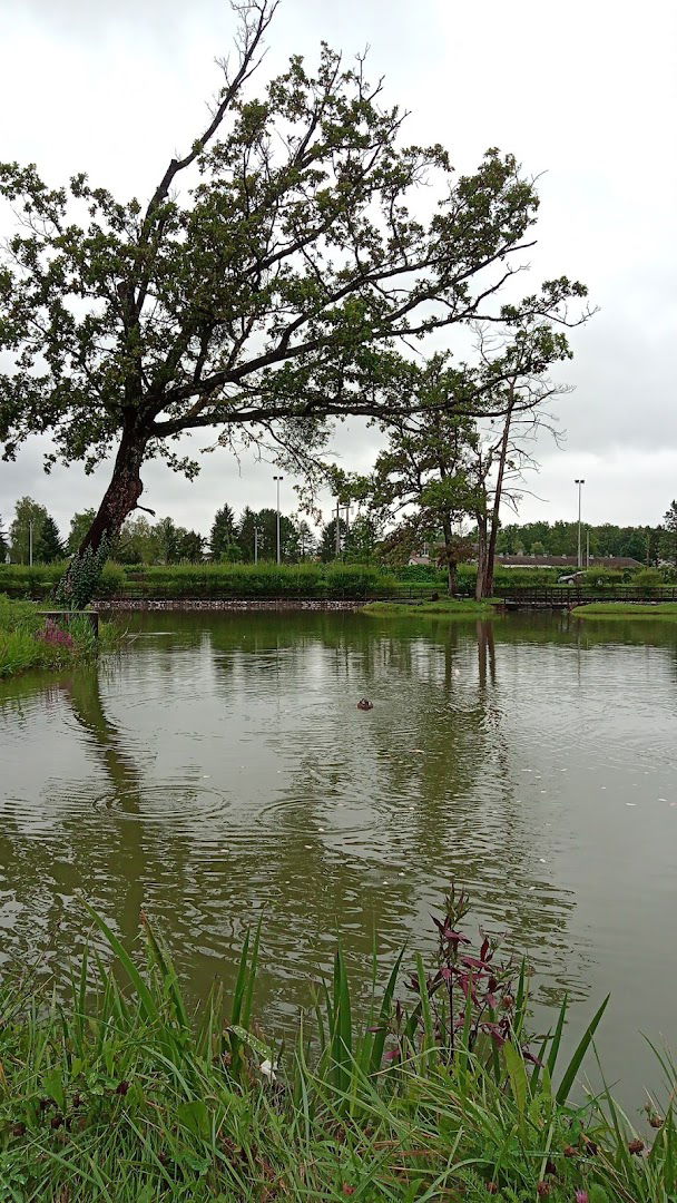 ŠRD Jastrebarsko, Jezero u parku Erdody
