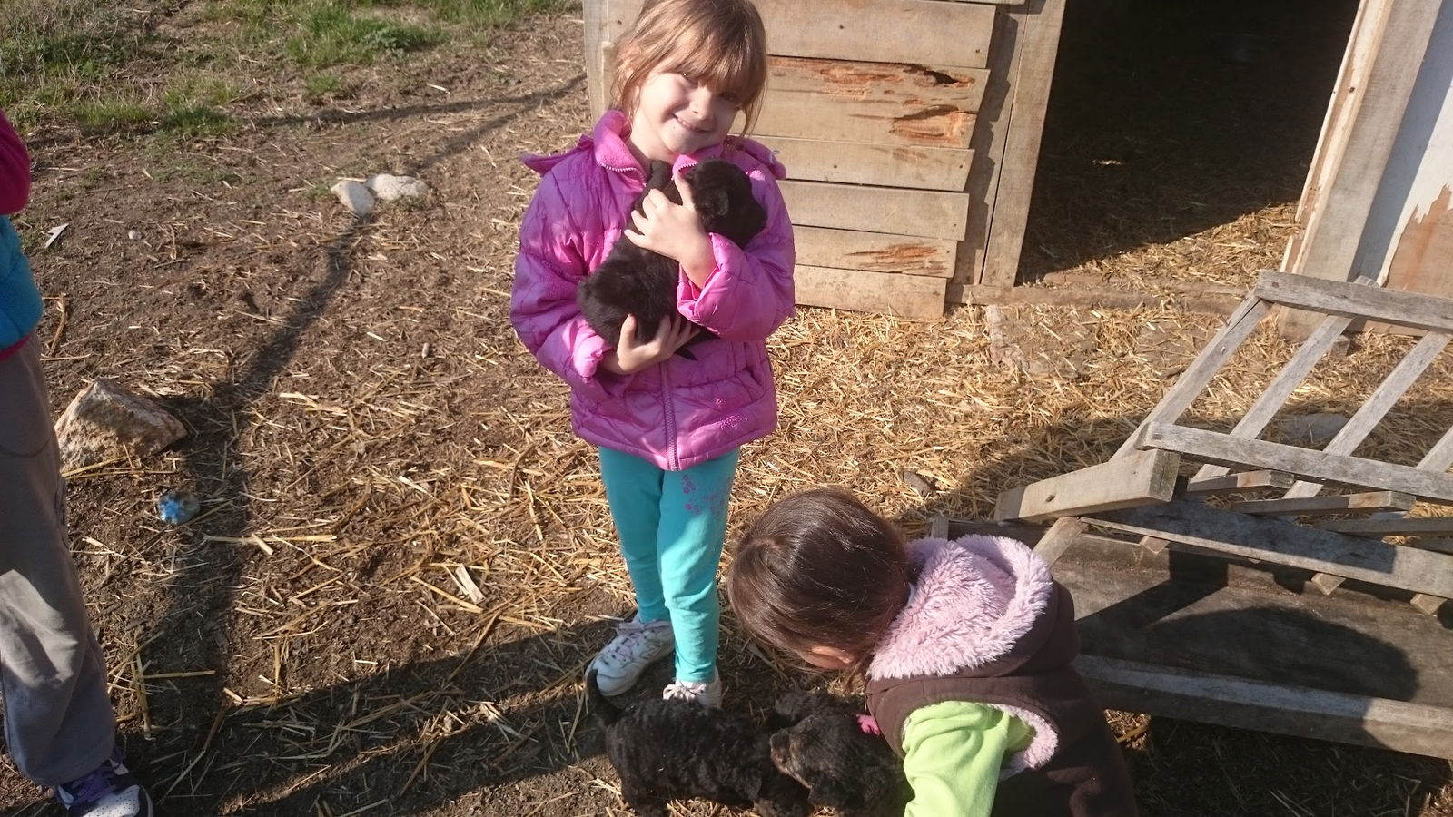 Podrum rakija Vencanka