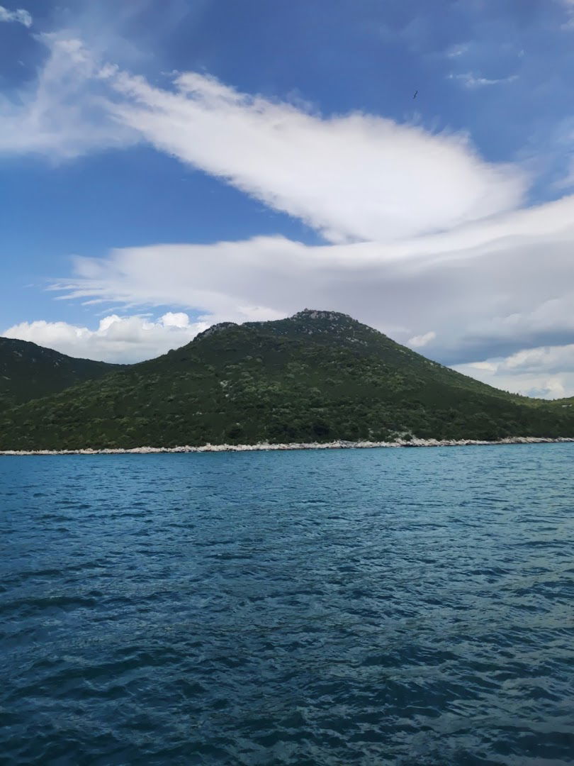 Utvrda Višnjica (Stričevi)