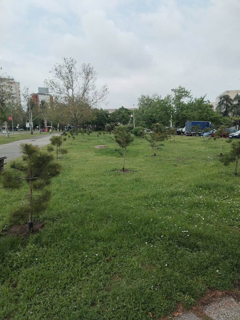 Aleja Srpsko Kazahstanskog prijateljstva