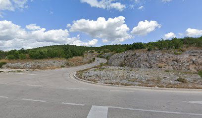 KRIŽANJE VUČEVICA 1