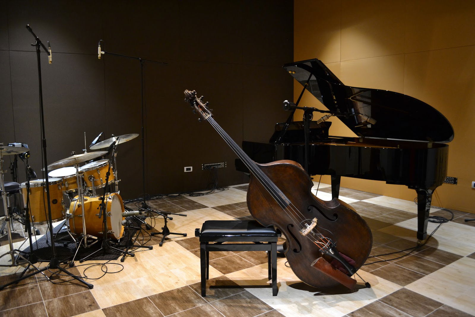 Muzički studio "Future Nature Sound"