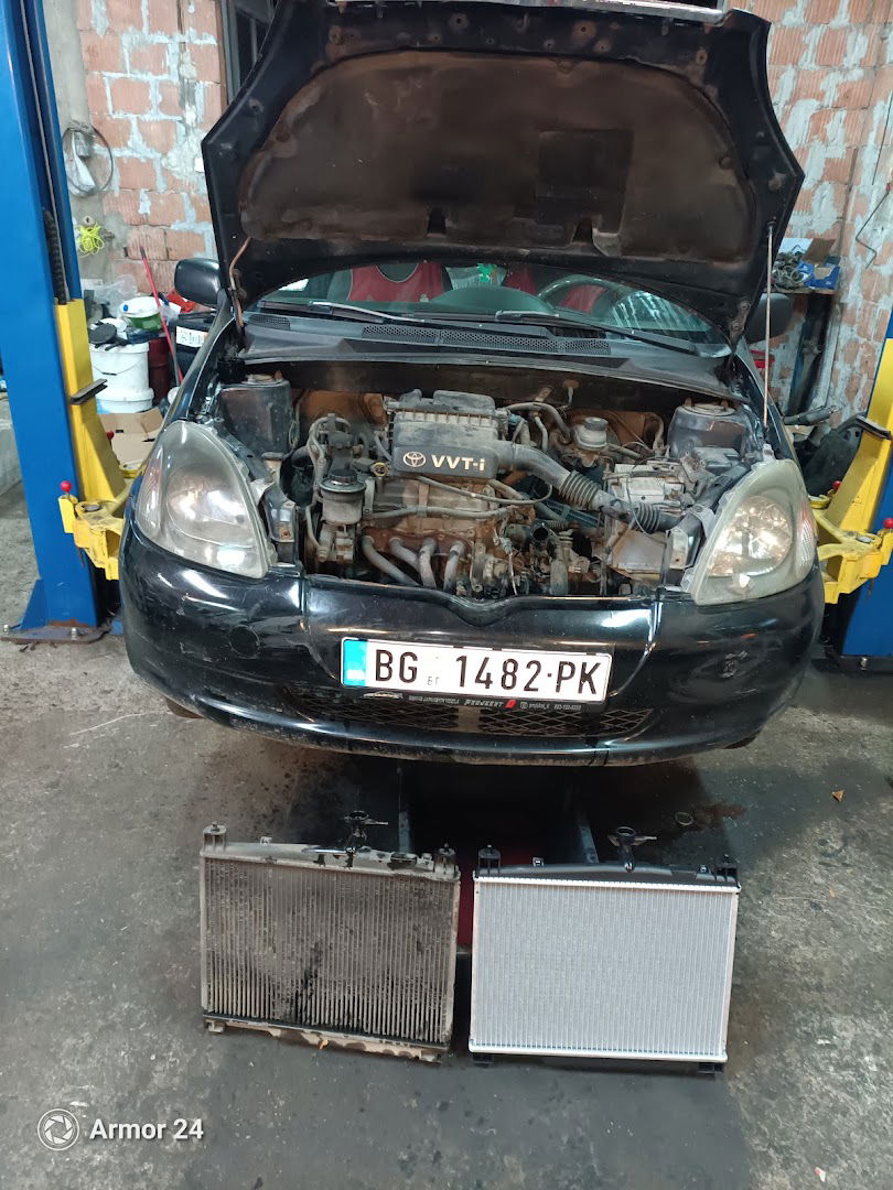 Servis Japanskih i Korejskih vozila Projekat D