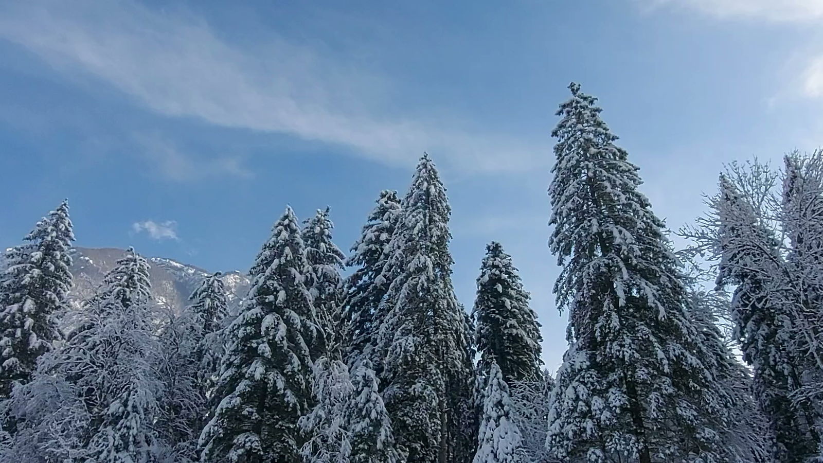 Lovska koča na Brsnikih